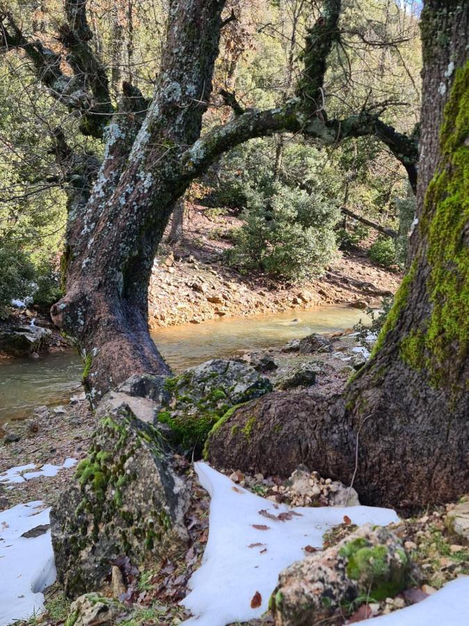 La Pommeraie D'Ifrane المظهر الخارجي الصورة