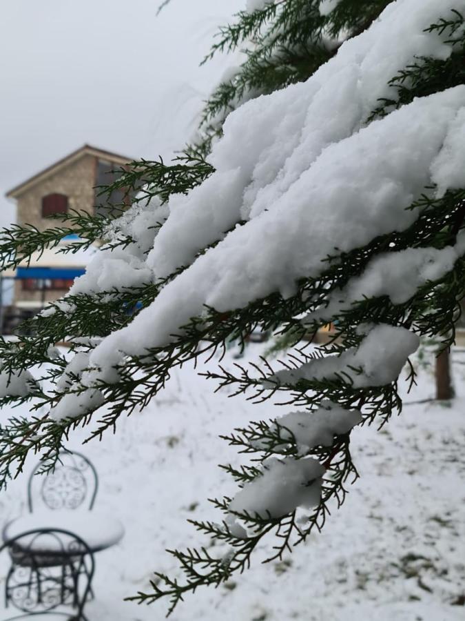 La Pommeraie D'Ifrane المظهر الخارجي الصورة