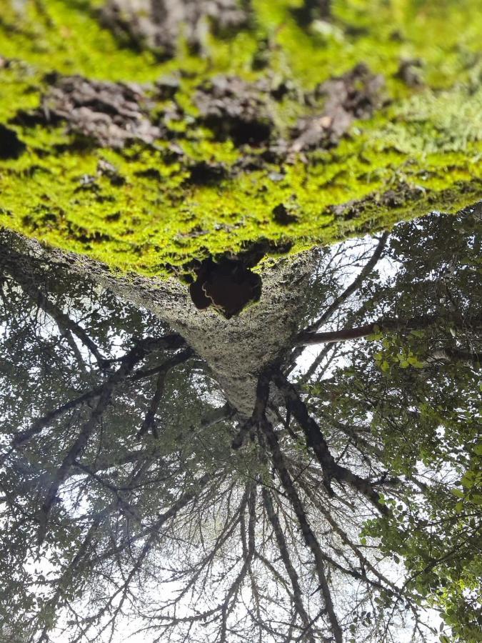La Pommeraie D'Ifrane المظهر الخارجي الصورة