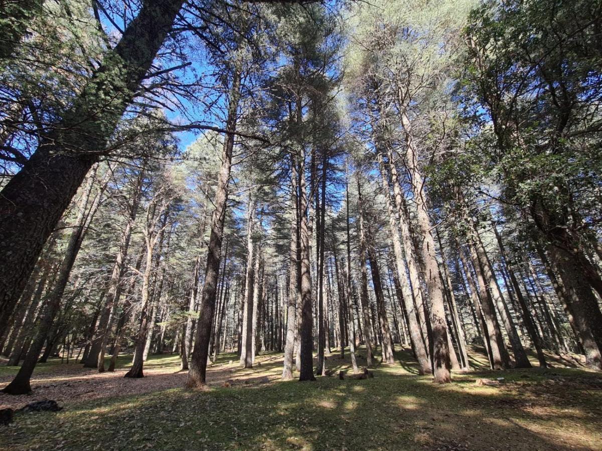 La Pommeraie D'Ifrane المظهر الخارجي الصورة