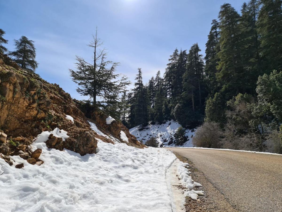 La Pommeraie D'Ifrane المظهر الخارجي الصورة