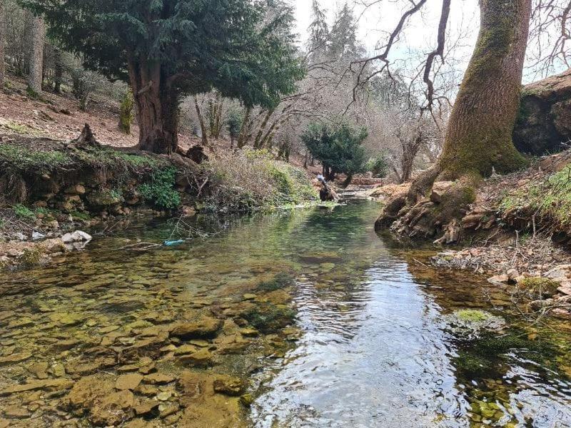 La Pommeraie D'Ifrane المظهر الخارجي الصورة