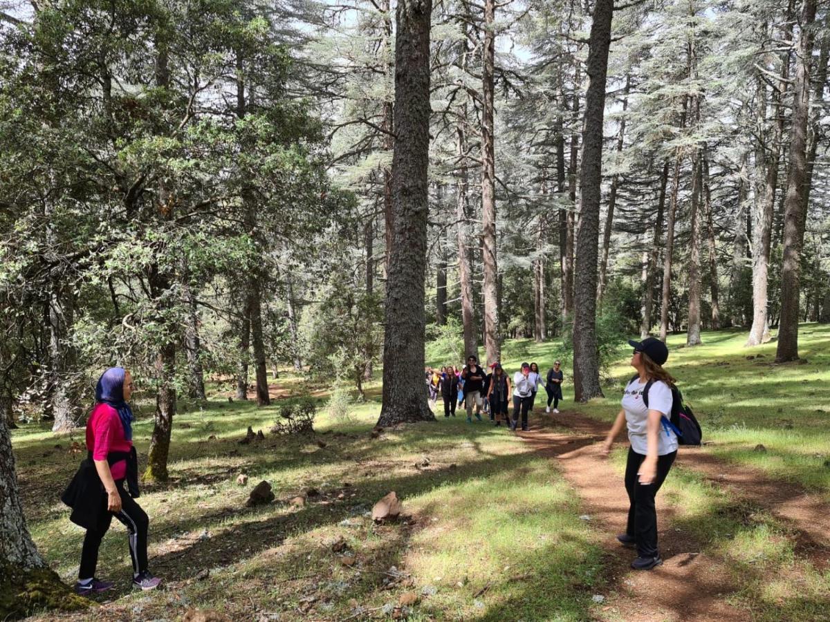 La Pommeraie D'Ifrane المظهر الخارجي الصورة