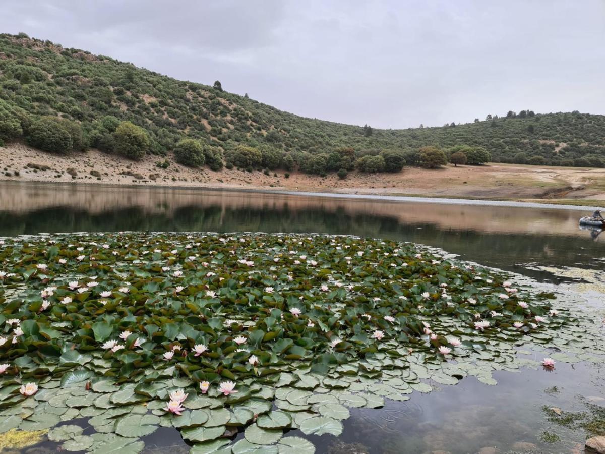 La Pommeraie D'Ifrane المظهر الخارجي الصورة