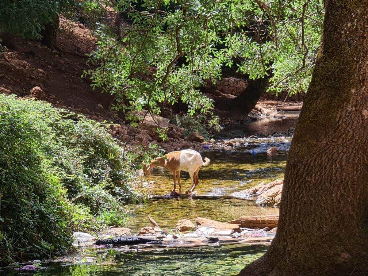 La Pommeraie D'Ifrane المظهر الخارجي الصورة